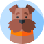Favicon